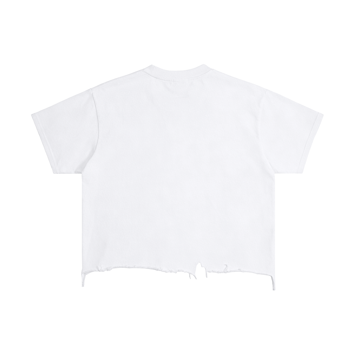 Bronze Vintage Wash Boxy Distressed Hem T-Shirt